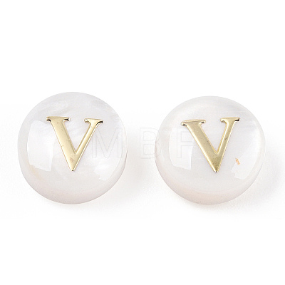 Natural Freshwater Shell Beads SHEL-N036-01V-1