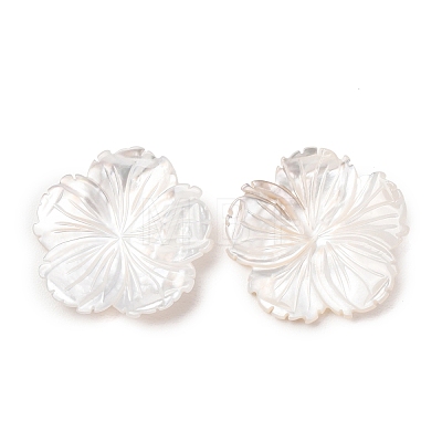 Natural White Shell Carved Cabochons SHEL-G024-05-1