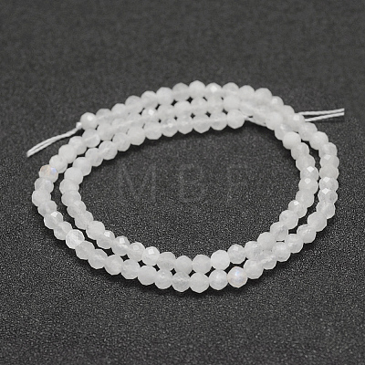 Natural Rainbow Moonstone Beads Strands G-F596-14-4mm-1