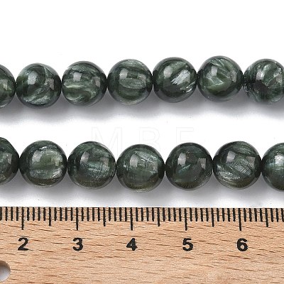 Natural Seraphinite Beads Strands G-C270-O01-07-1