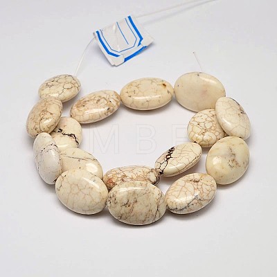 Flat Oval Natural Magnesite Beads Strands G-M138-13-1