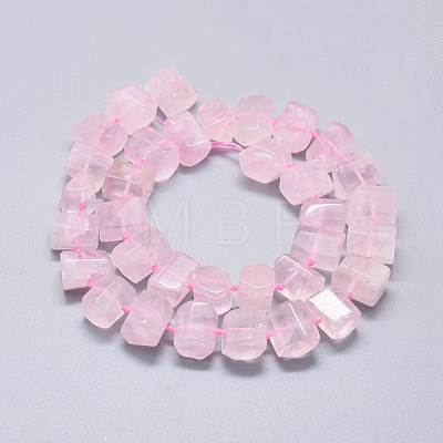 Natural Rose Quartz Beads Strands G-K293-J10-C-1