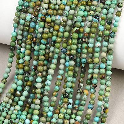Natural HuBei Turquoise Beads Strands G-D100-A01-3mm-1