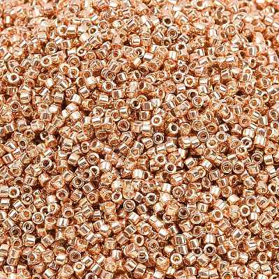 MIYUKI Delica Beads LS-X-SEED-J020-DB2518-1