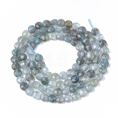 Natural Apatite Beads Strands G-S362-010-1