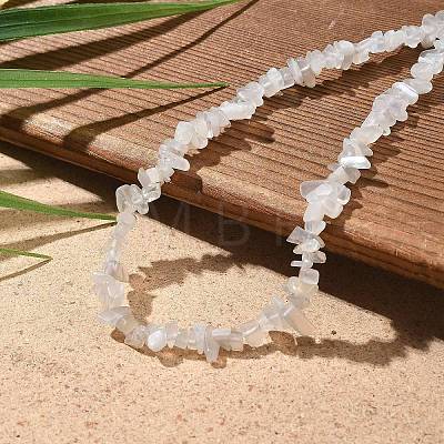 Natural Moonstone Chip Beaded Necklaces for Men Women NJEW-G159-01J-1