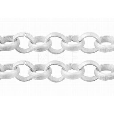 Iron Rolo Chains X-CHT038Y-S-1