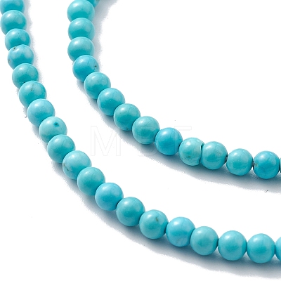 Natural Howlite Beads Strands TURQ-K005-01B-1
