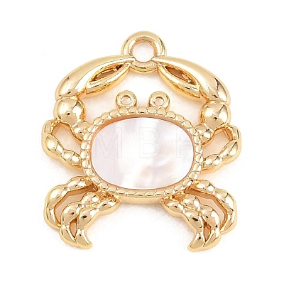 Natural Shell Sea Animal Pendants KK-H273-02G-1