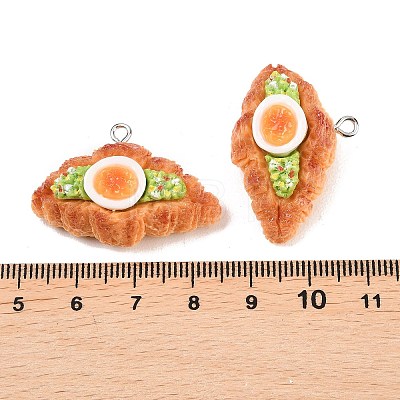 Opaque Resin Imitation Food Pendants LS-RESI-P049-01B-P-1