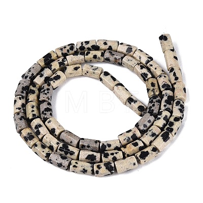 Natural Dalmatian Jasper Beads Strands GG-N002-01A-07-1