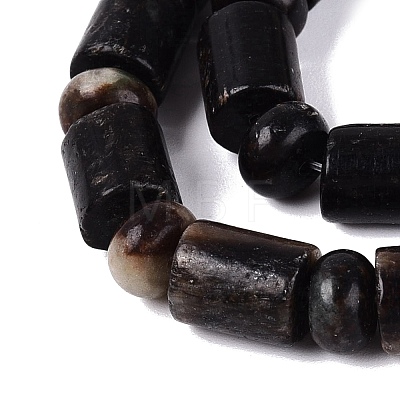 Natural Biotite Beads Strands G-Q616-09B-1