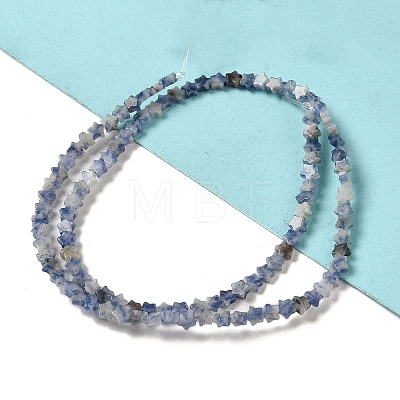 Natural Blue Spot Jasper Beads Strands G-G085-B41-01-1