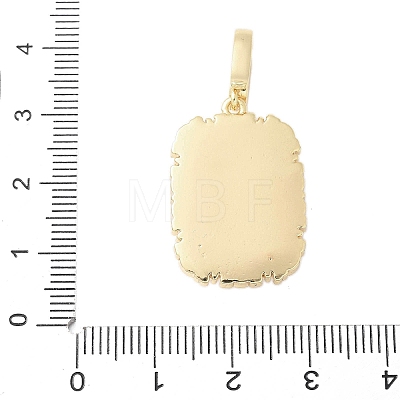 Brass Enamel Pendants LS-KK-F886-01G-08-1