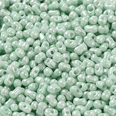 Glass Seed Beads SEED-K009-02A-04-1