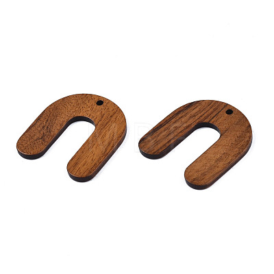 Resin & Walnut Wood Pendants WOOD-N011-008-1