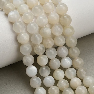 Natural White Moonstone Beads Strands G-L664-A01-8mm-A-1