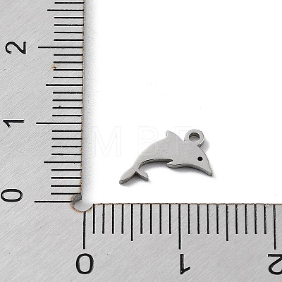 304 Stainless Steel Charms STAS-K272-01A-P-1