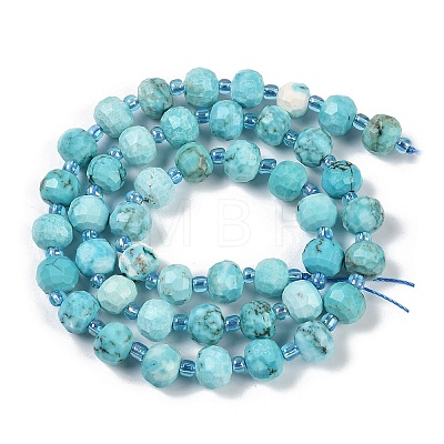 Dyed Natural Howlite Beads Strands G-H057-A18-01-1