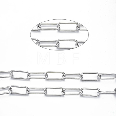 Unwelded Iron Paperclip Chains CH-S125-14A-02-1