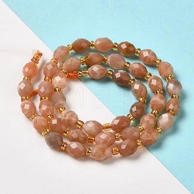 Natural Sunstone Beads Strands G-H297-C14-01-1