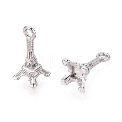 304 Stainless Steel Pendants STAS-N109-258P-1