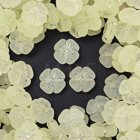Frosted Transparent Acrylic Beads X1-OACR-P029-19B-03-1