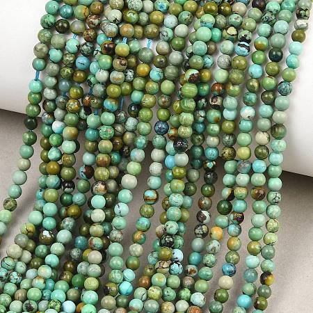 Natural HuBei Turquoise Beads Strands G-D100-A01-3mm-1