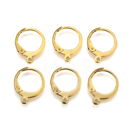 304 Stainless Steel Leverback Earring Findings X-STAS-P210-30G-1