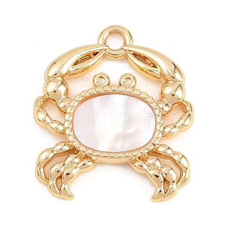 Natural Shell Sea Animal Pendants KK-H273-02G-1