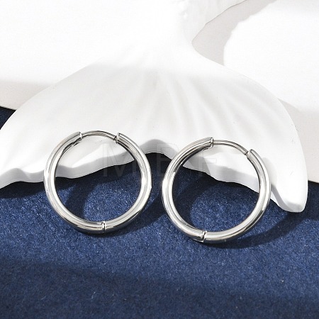 Tarnish Resistant 304 Stainless Steel Hoop Earrings EJEW-P177-P-09-1