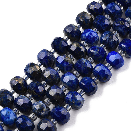 Natural Lapis Lazuli Beads Strands G-N327-08B-1