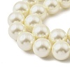 Round Shell Pearl Beads Strands BSHE-XCP0001-25C-02-3