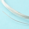 Dead Soft 925 Sterling Silver Wire STER-NH002-A-2