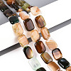 Natural Agate Beads Strands G-N356-03A-05-1