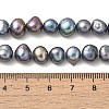 Dyed Natural Cultured Freshwater Pearl Beads Strands PEAR-A006-09E-5