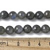 Natural Labradorite Beads Strands X-G-U017-8MM-01-5