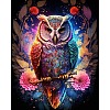 DIY Owl Diamond Painting Kit DIAM-PW0013-02K-1