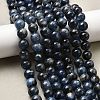 Natural Kyanite/Cyanite/Disthene Beads Strands G-G272-A01-10mm-1
