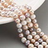 Natural Cultured Freshwater Pearl Beads Strands PEAR-C003-13E-2