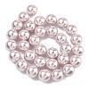 Electroplated Shell Pearl Beads Strands BSHE-G041-12mm-06-4