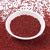 MIYUKI Round Rocailles Beads X-SEED-G007-RR0011-2