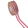 2 Rolls 2 Styles Polyester Striped Ribbon OCOR-ME0001-98-1