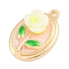 Alloy Enamel Pendants AL-CBAD5CF-02G-C-2