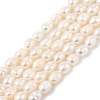 Natural Cultured Freshwater Pearl Beads Strands PEAR-I007-01B-02B-01-2