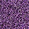 MIYUKI Delica Beads X-SEED-J020-DB2508-2