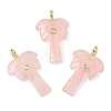 Natural Rose Quartz Carved Pendants X-G-C282-04B-1