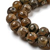 Tibetan Style dZi Beads Strands G-P526-D03-01-4