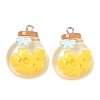 Transparent Resin Pendants RESI-K203-19-2