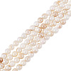 2 Strands AB Color Natural Freshwater Shell Beads Strands BSHE-TA0001-40-2